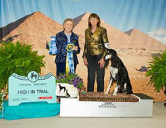 2018 National Best of Breed Competition Results - Saluki 